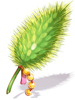 Large Foxtail Staff