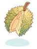 Prickly Fruit