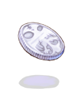 Platinum Coin